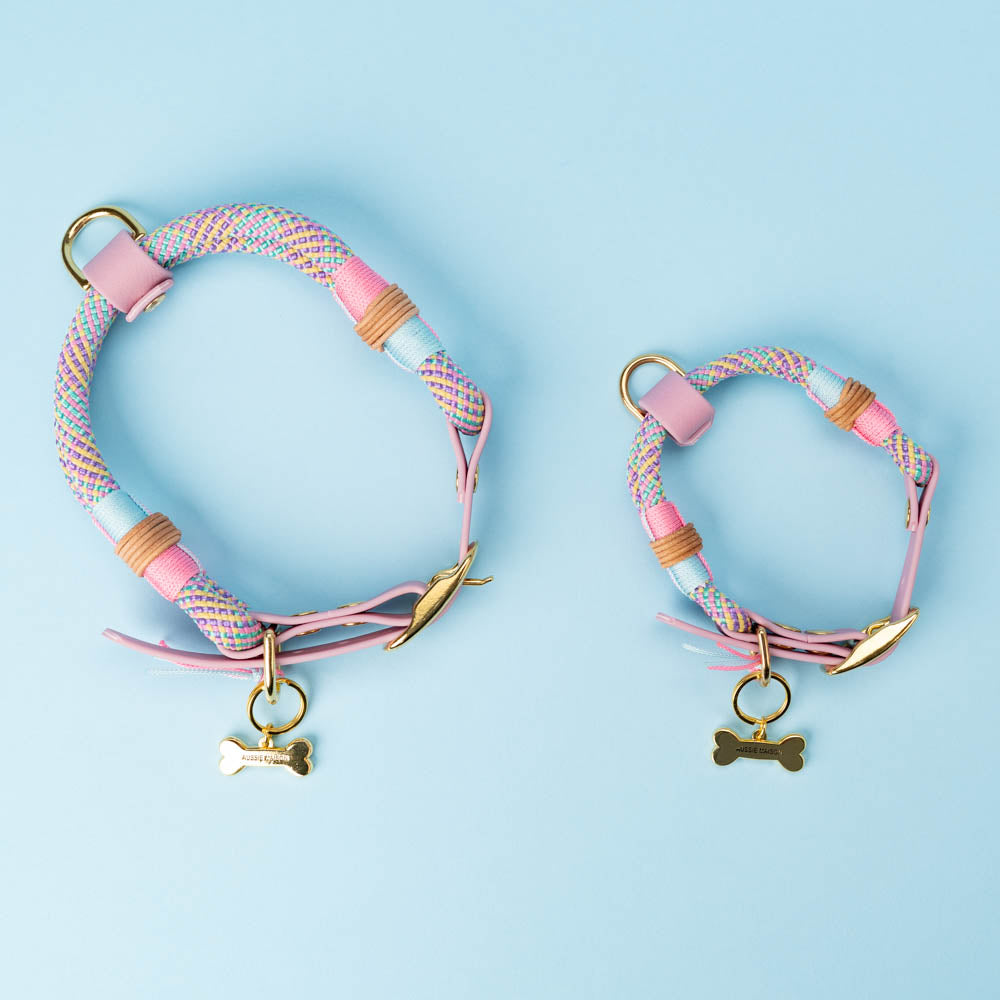 Marshmallow dog collar