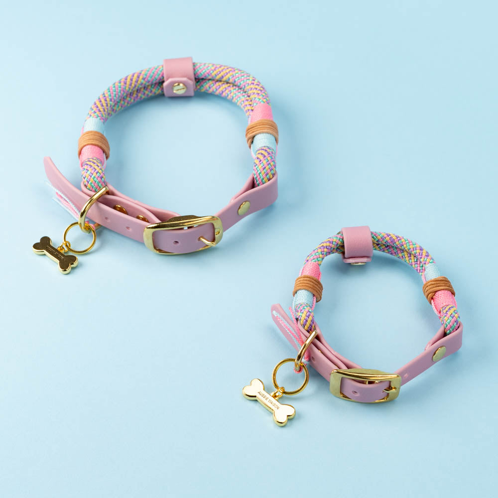 Marshmallow dog collar