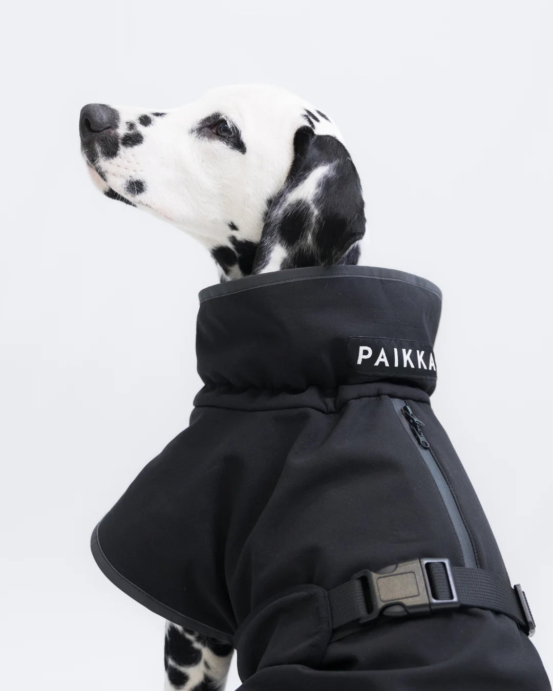 Softshellová bunda PAIKKA Recovery Black