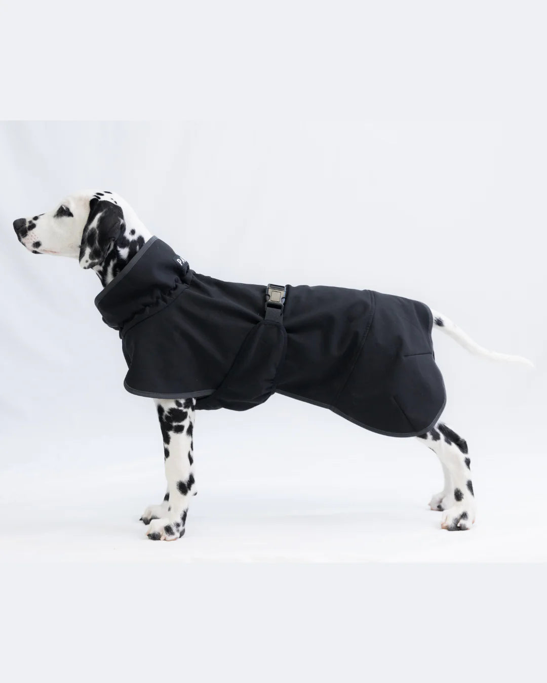 Softshellová bunda PAIKKA Recovery Black