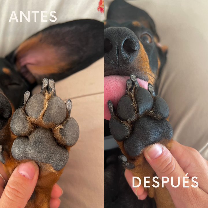 Paw Care – ochranná pěna na tlapky