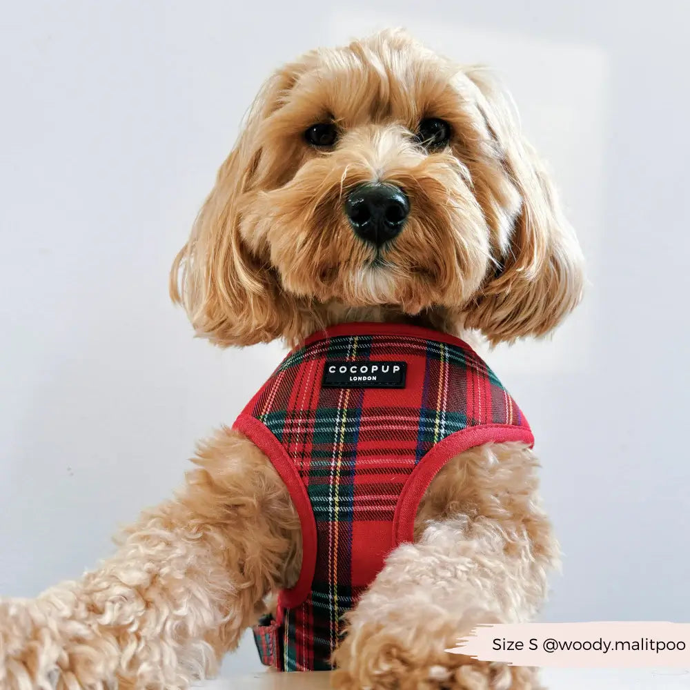 Nastavitelný postroj Cocopup - Tartan