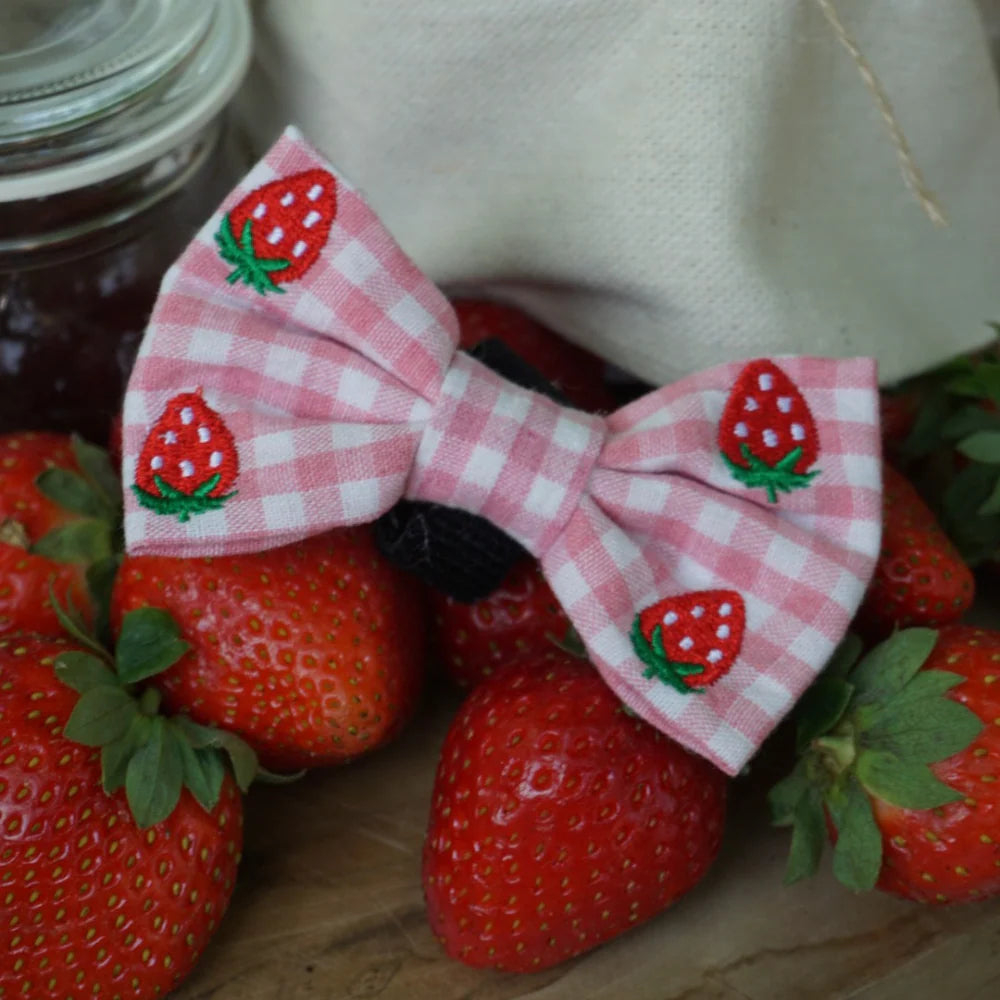 Motýlek Cocopup - Strawberry Picnic