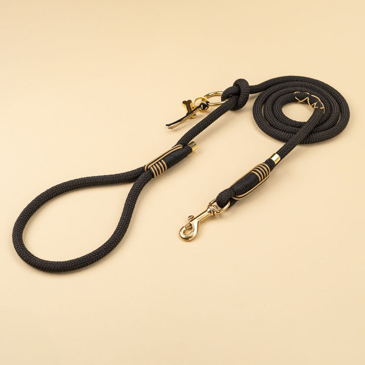 Maison Black dog leash