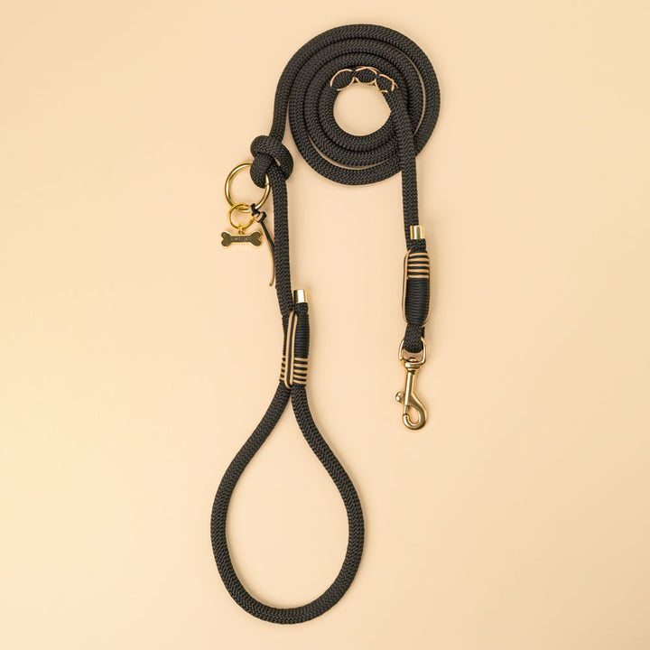 Maison Black dog leash