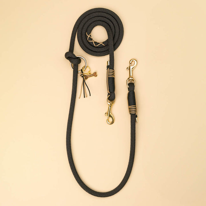 Maison Black dog leash