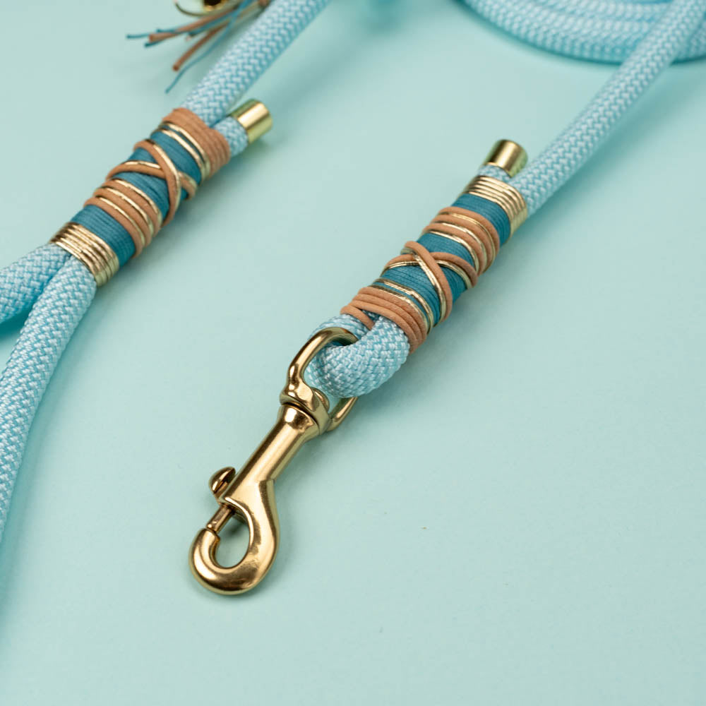 Dog leash Baby Blue