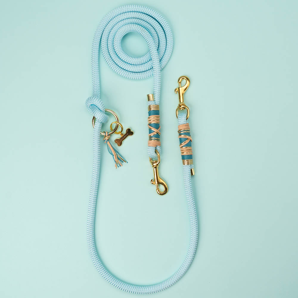 Dog leash Baby Blue