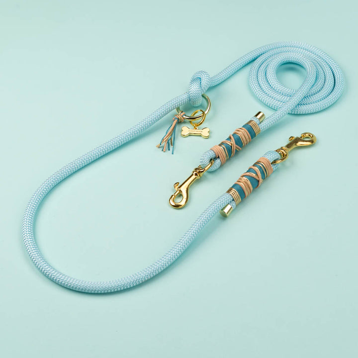 Dog leash Baby Blue