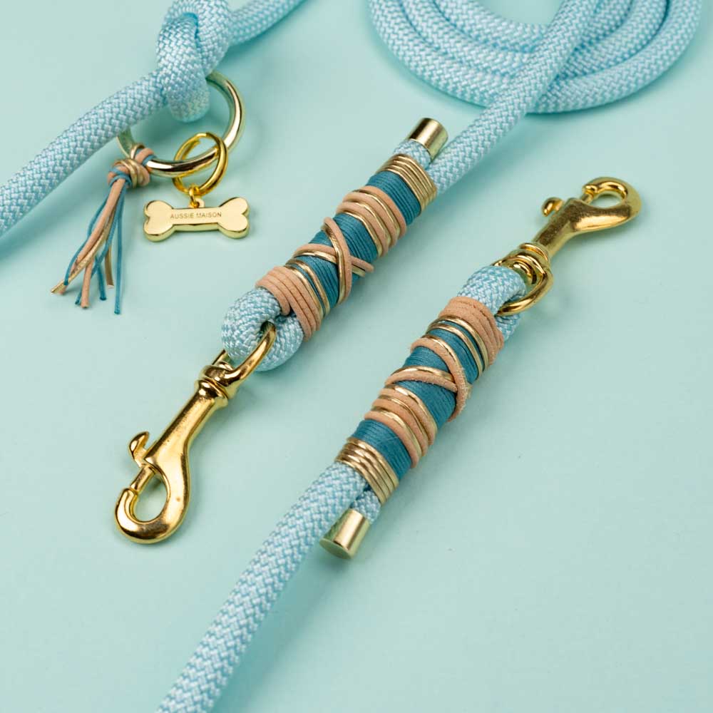 Dog leash Baby Blue