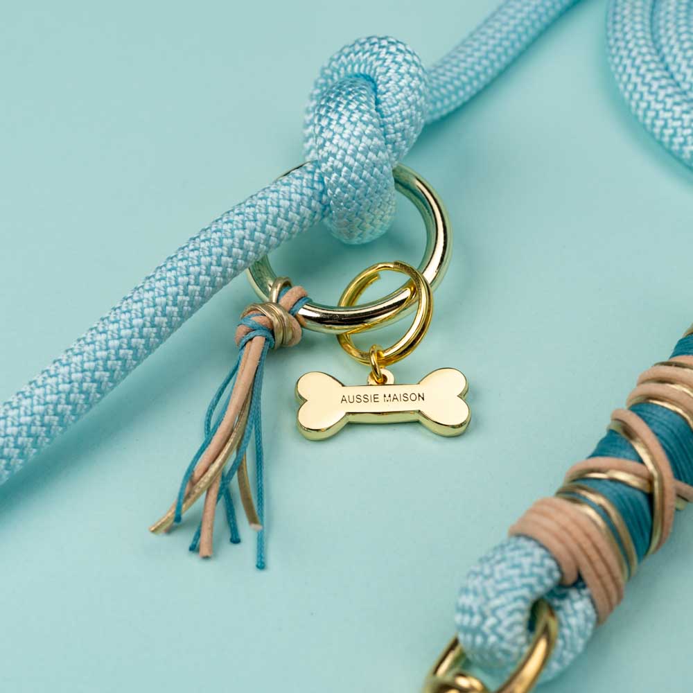 Dog leash Baby Blue