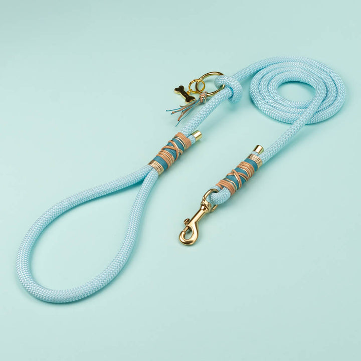Dog leash Baby Blue