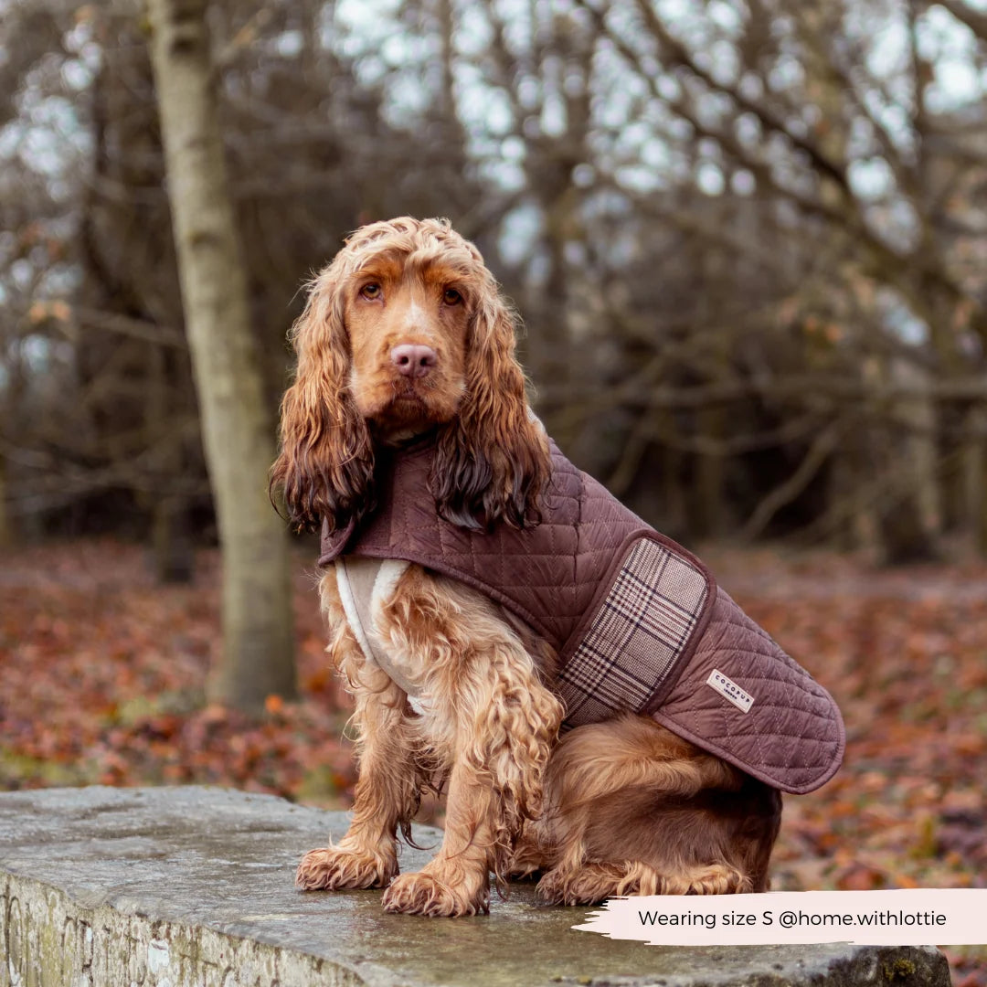 Kabátek Cocopup - Pup Plaid