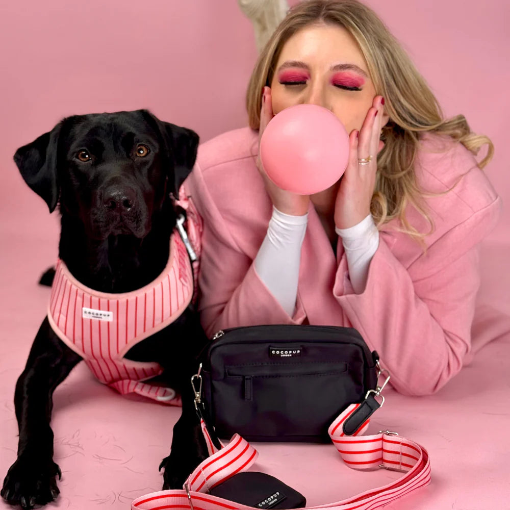 Vodítko Cocopup - Candy Stripe