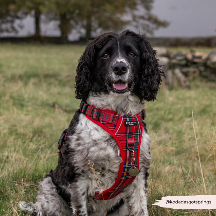 Explore postroj Cocopup - Tartan