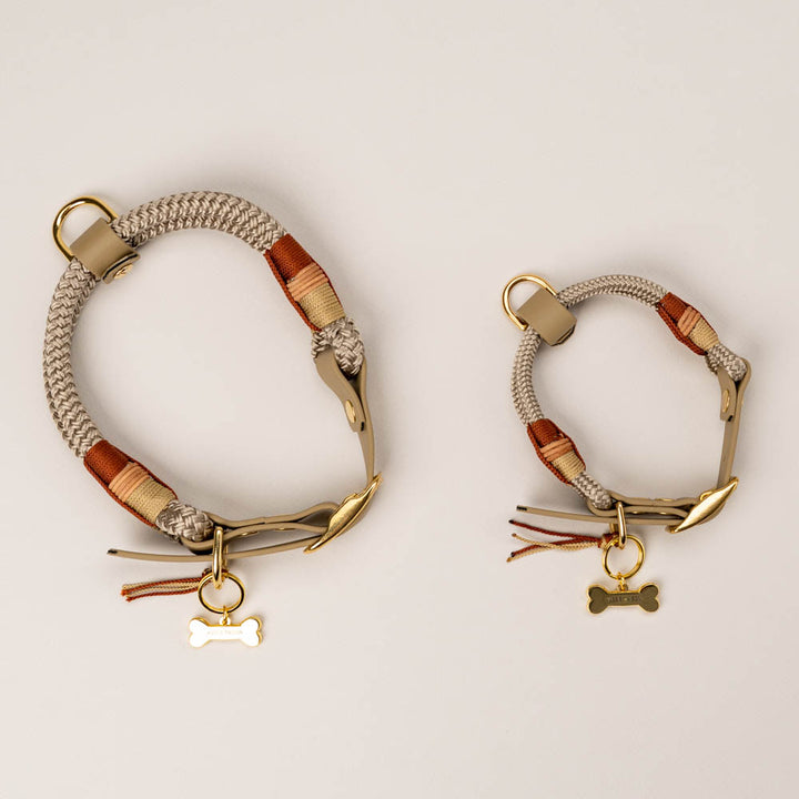 Autumn Comes Dog Collar