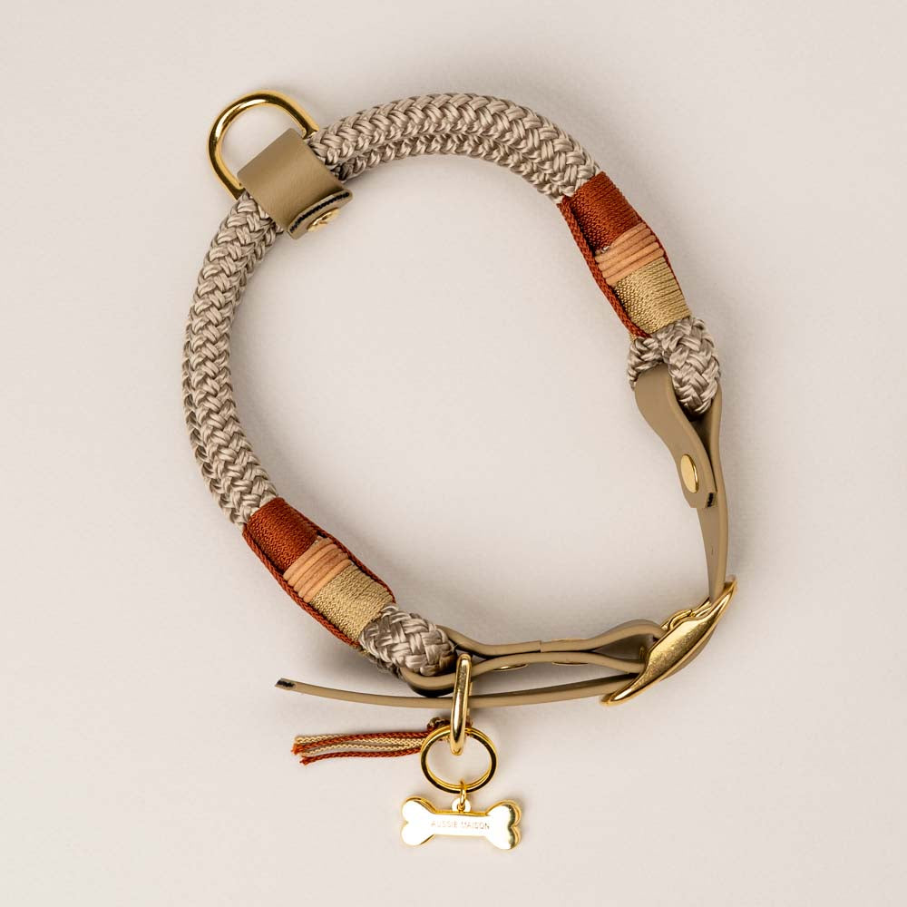 Autumn Comes Dog Collar
