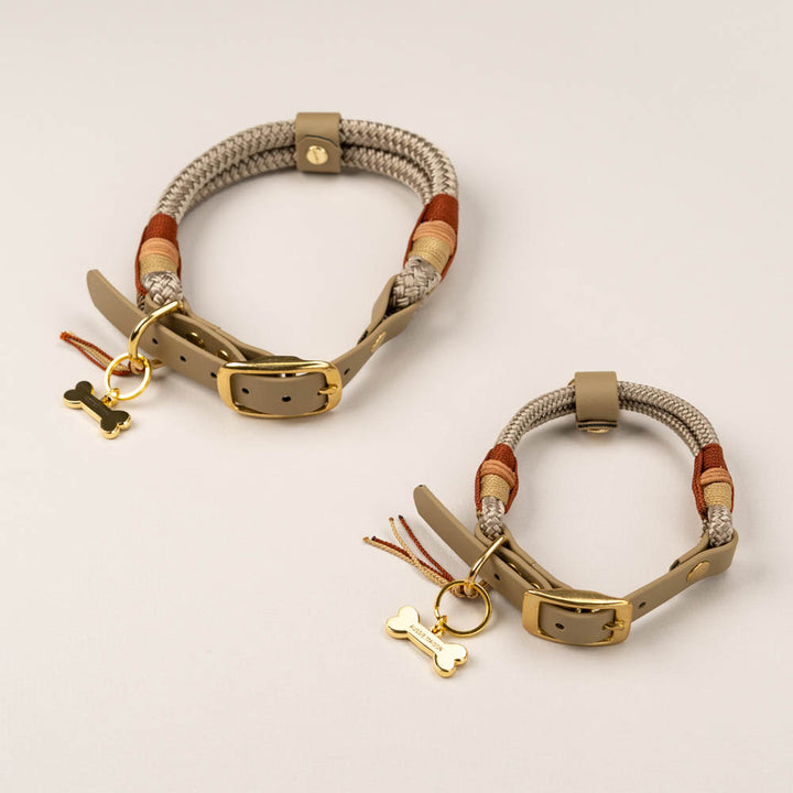 Autumn Comes Dog Collar