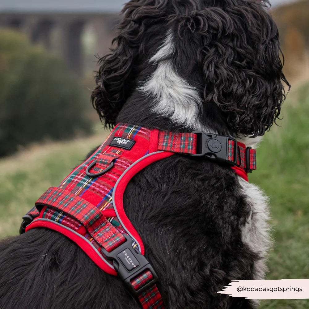 Explore postroj Cocopup - Tartan