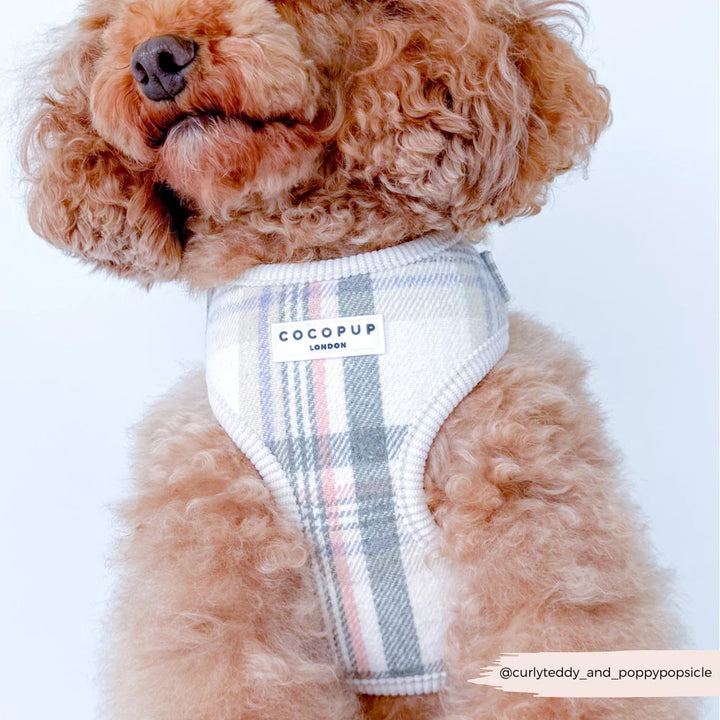 Nastavitelný postroj Cocopup - Spring Plaid