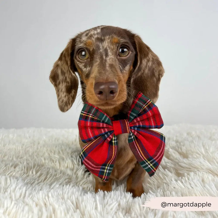 Motýlek Cocopup - Tartan Sailor