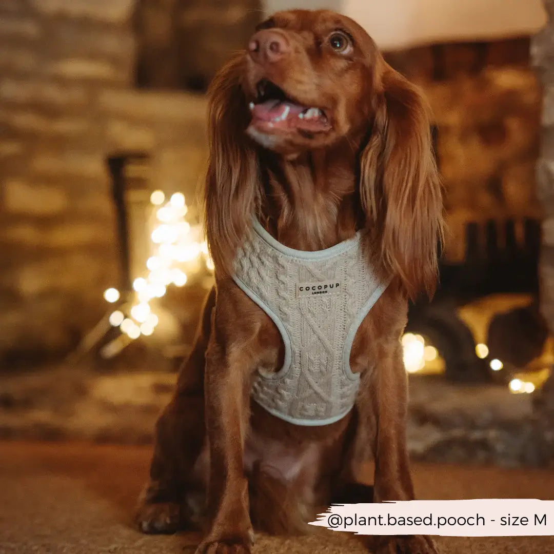 Nastavitelný postroj Cocopup Knit Jumper - Toffee Latte