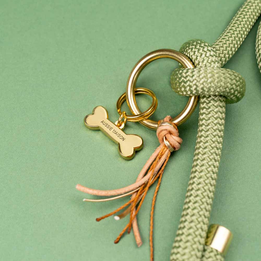 Guacamole dog leash