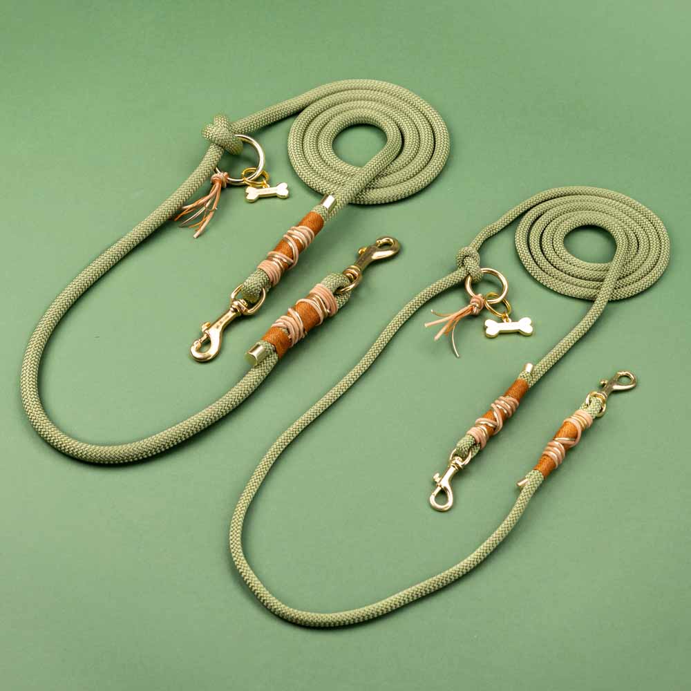 Guacamole dog leash