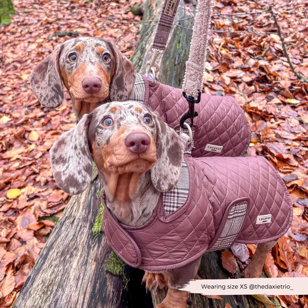 Kabátek Cocopup - Pup Plaid