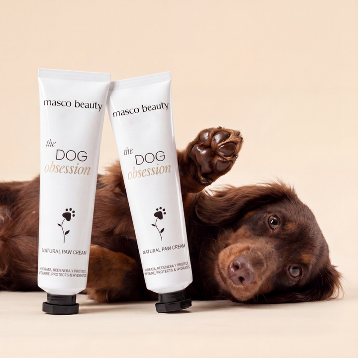 Paw Care – ochranná pěna na tlapky