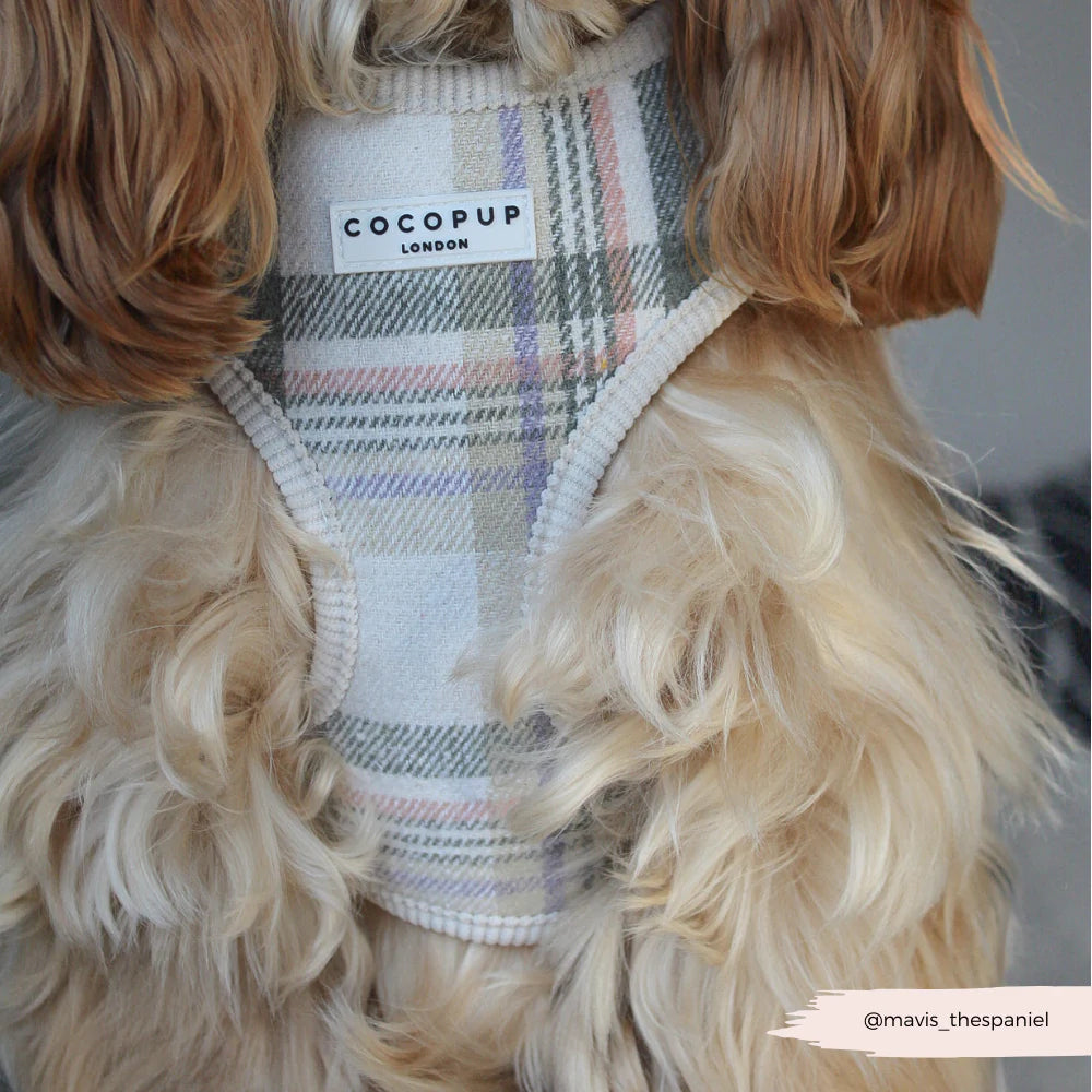 Nastavitelný postroj Cocopup - Spring Plaid