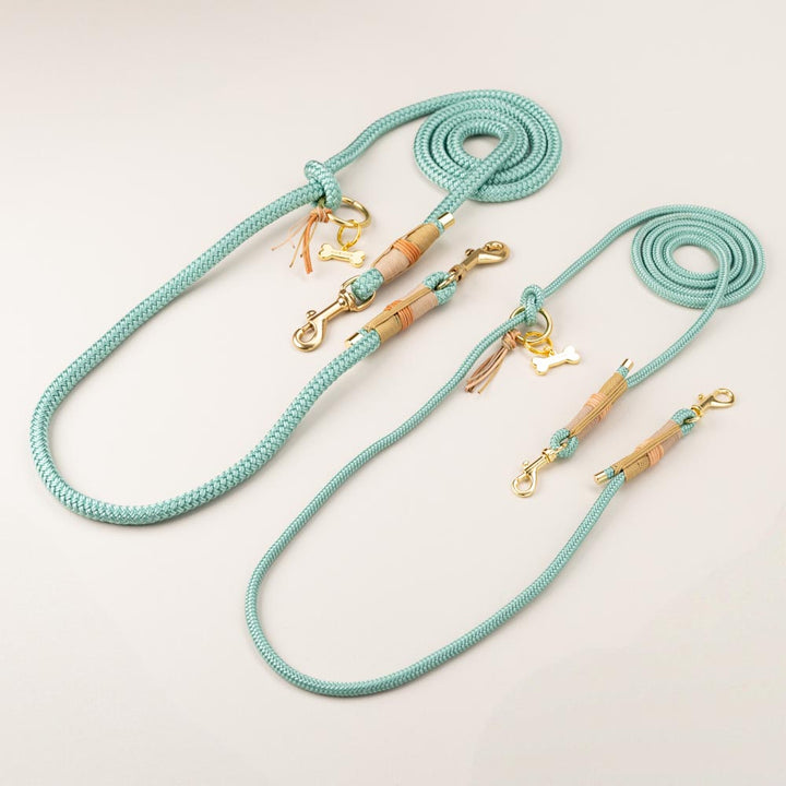Ocean Child dog leash
