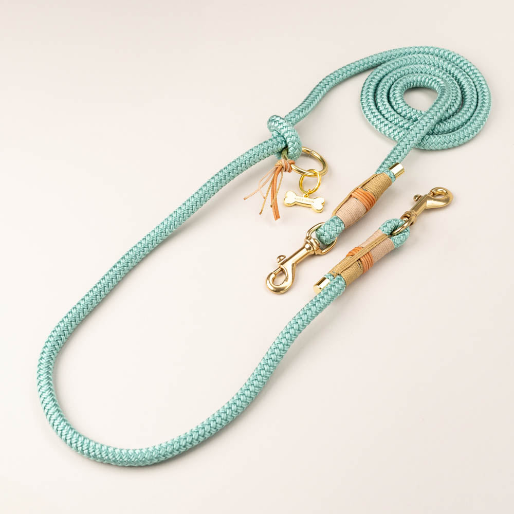 Ocean Child dog leash