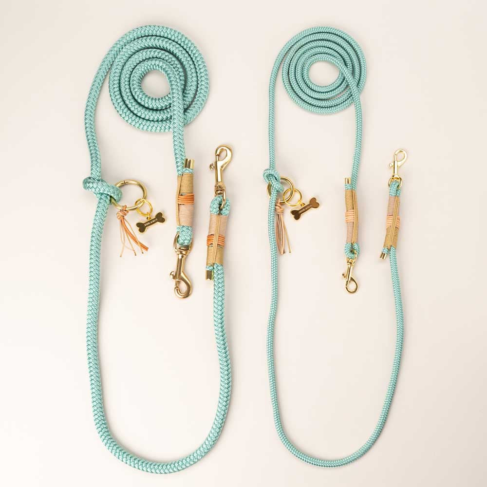 Ocean Child dog leash