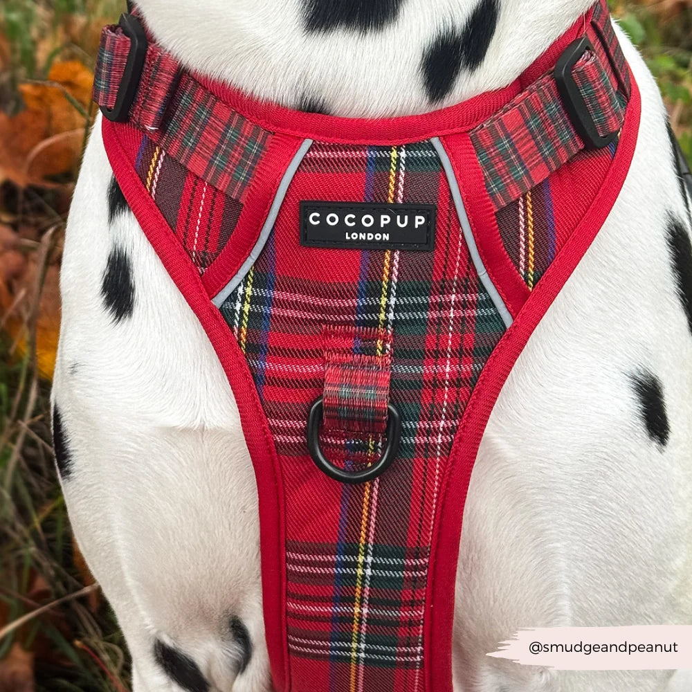 Explore postroj Cocopup - Tartan