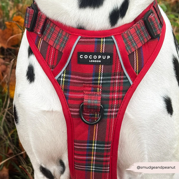 Explore postroj Cocopup - Tartan