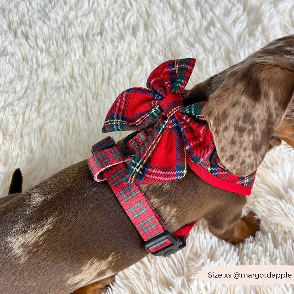 Motýlek Cocopup - Tartan Sailor