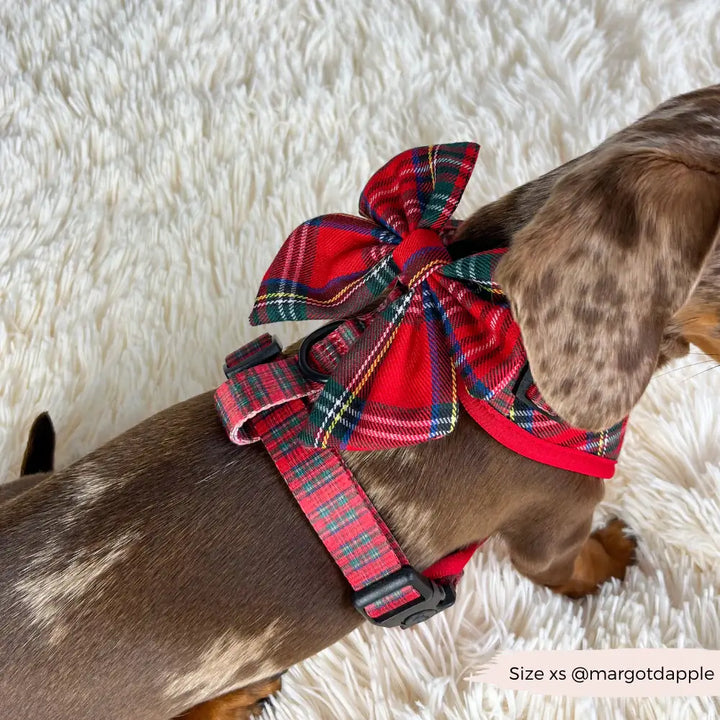 Motýlek Cocopup - Tartan Sailor