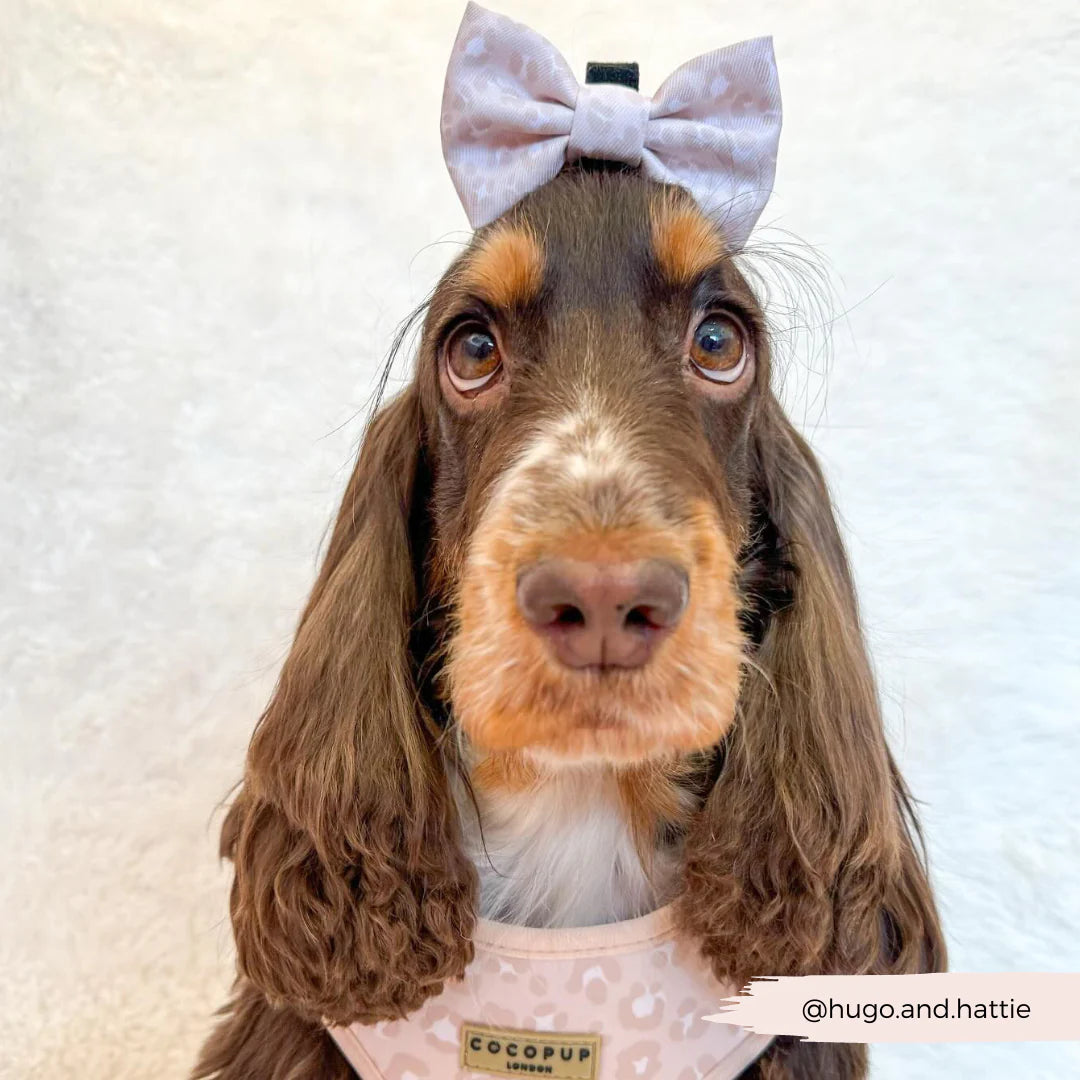 Cocopup bow tie - Nude chic leopard