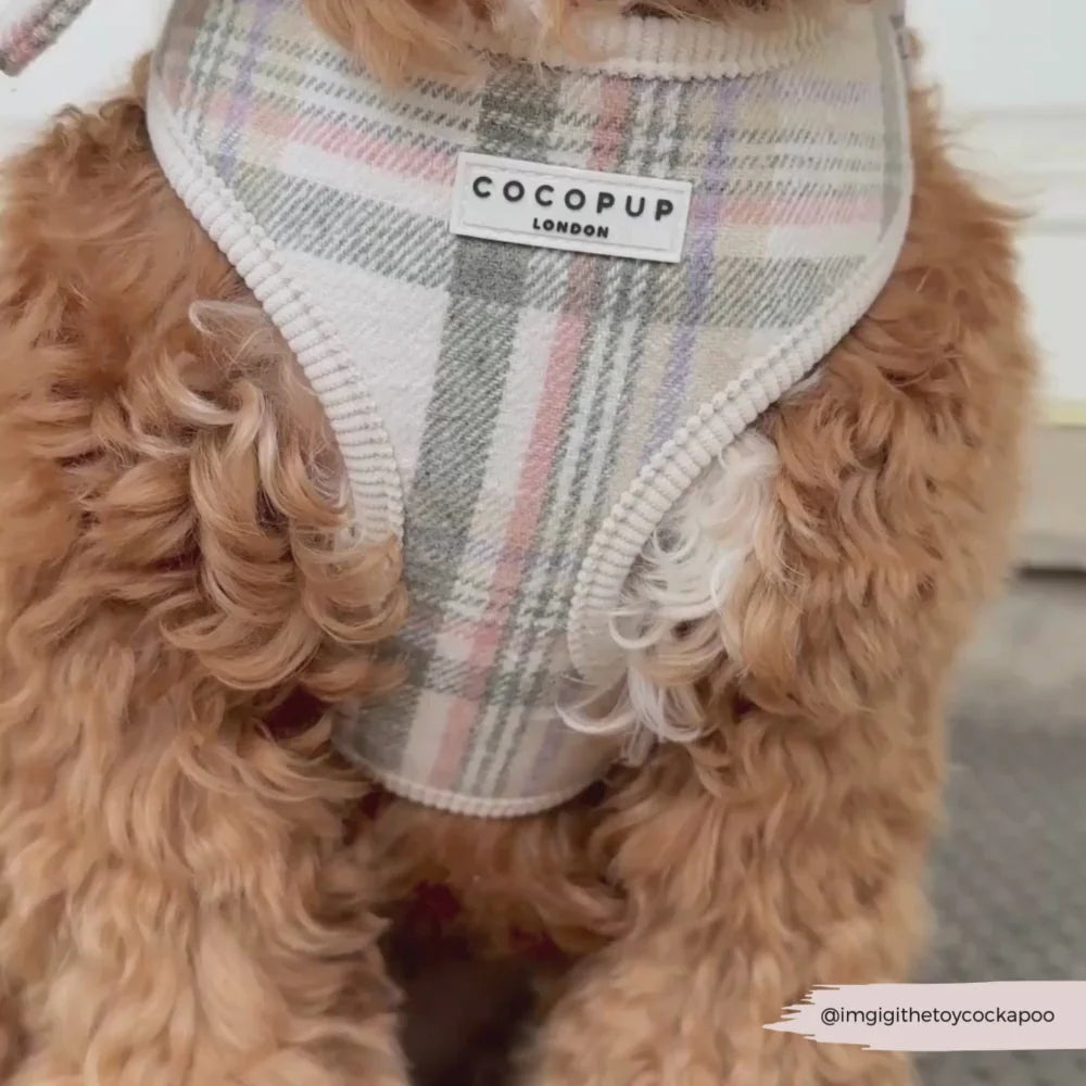 Nastavitelný postroj Cocopup - Spring Plaid