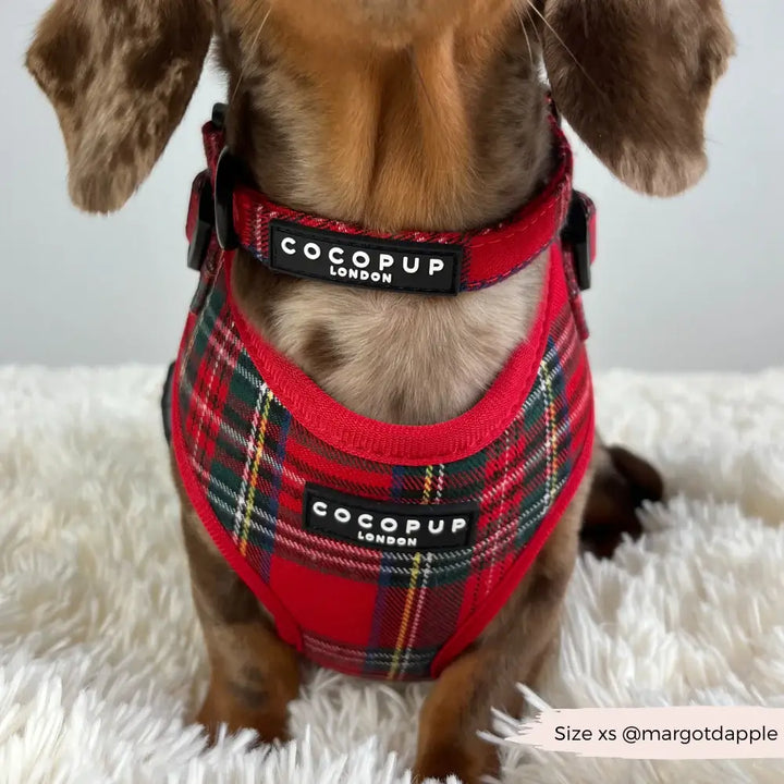 Obojek Cocopup - Tartan