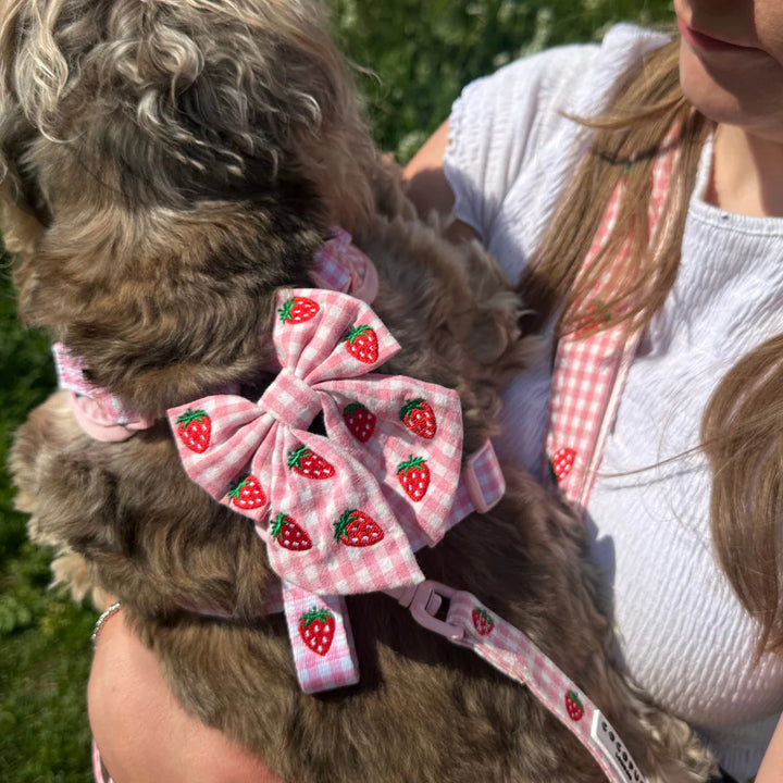 Motýlek Cocopup - Strawberry Picnic Sailor