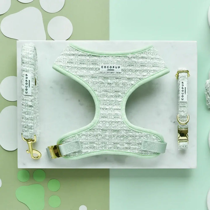 Obojek Cocopup - Tweed Matcha