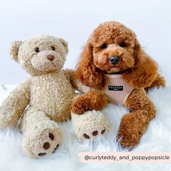Nastavitelný postroj Cocopup - Teddy Rupert