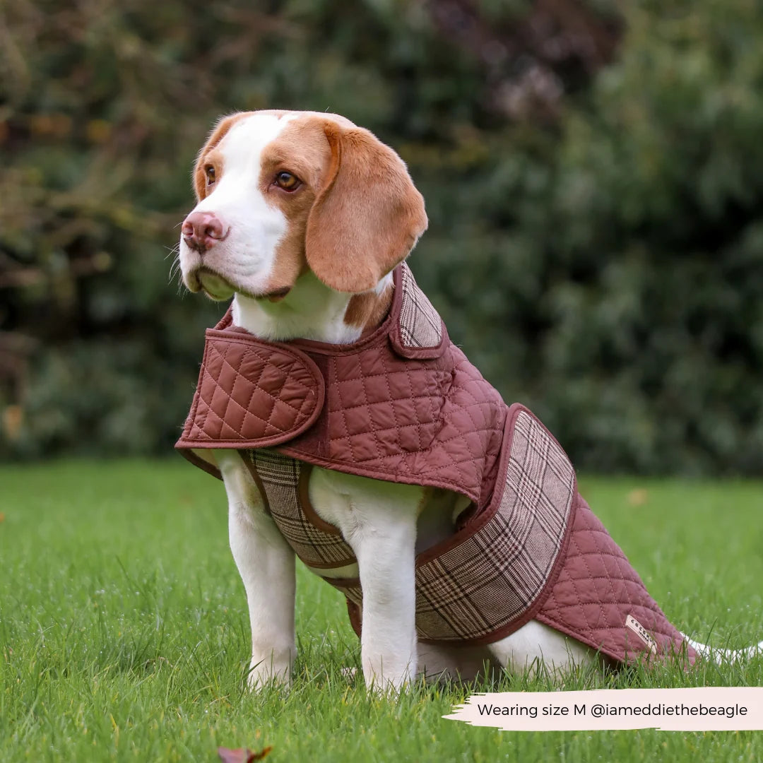 Kabátek Cocopup - Pup Plaid