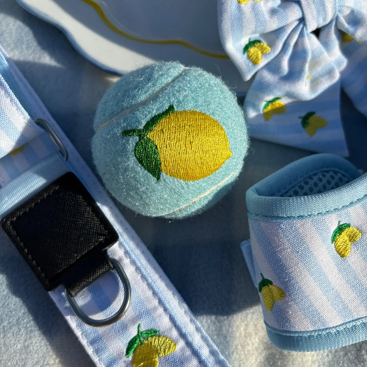 Tenisák Cocopup - Lemon