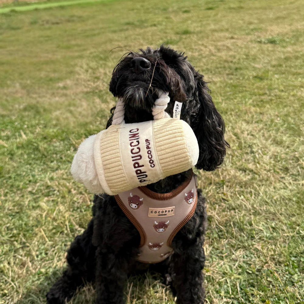 Cocopup hračka Puppuccino