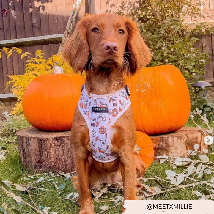 Cocopup Adjustable Harness - Autumn Puppuccino