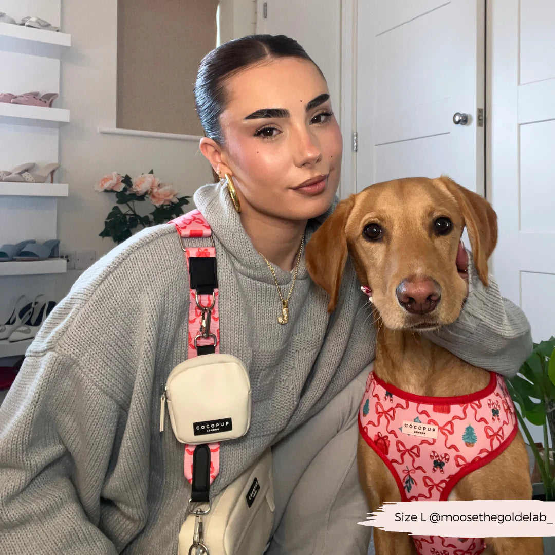 Popruh na pamlskovník CocoPup - Pupmas Kisses