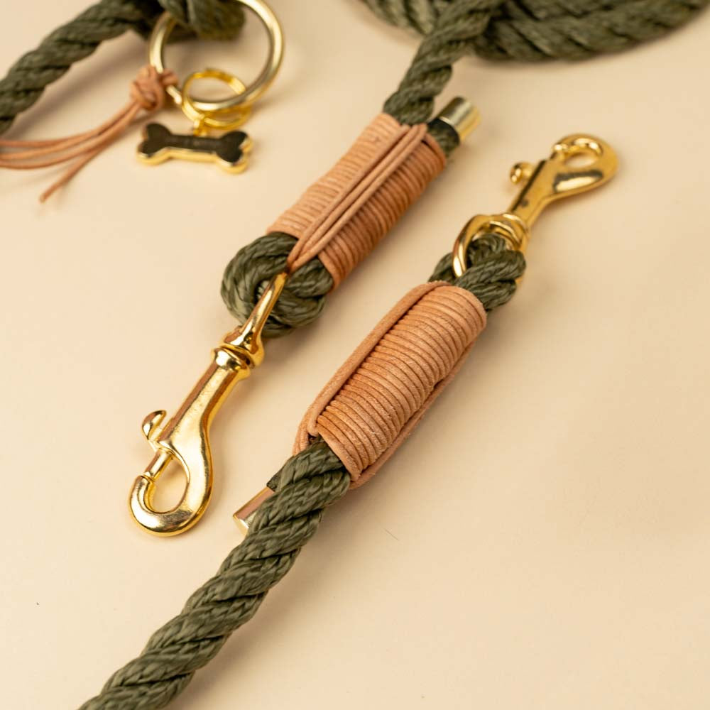 Wild and Free dog leash